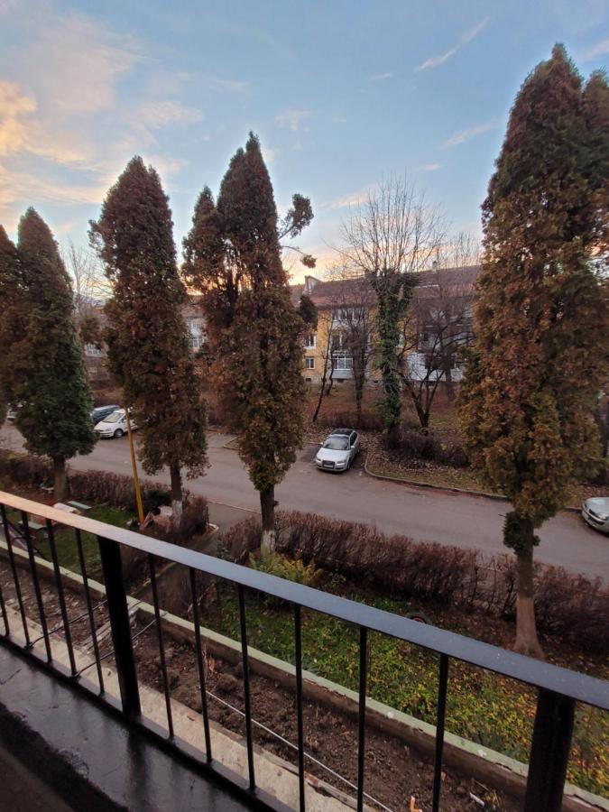 Apartment Luna